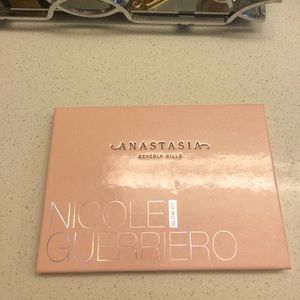 Anastasia Beverly Hills Nicole guerrerio palette